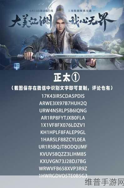 剑网3无界捏脸数据码，解锁个性化角色外观的秘籍