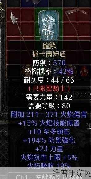 不一样传说2骑士加点深度解析，打造你的专属战斗风格