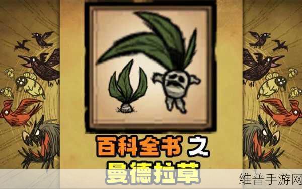 饥荒联机版攻略，曼德拉草的捕捉技巧与用途详解