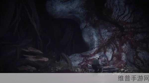 艾尔登法环深度攻略，封印魔女的废墟解救全解析