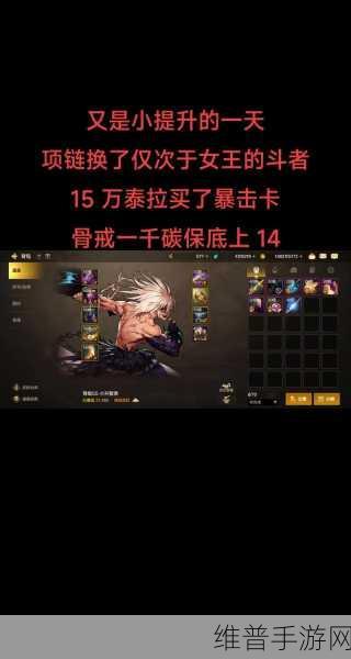 DNF手游深度攻略，揭秘十二使徒的详细身份与背景