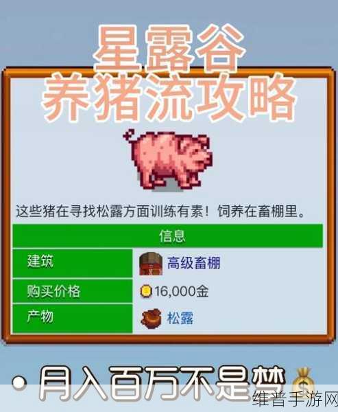 星露谷物语,鸭毛用途与获取全攻略