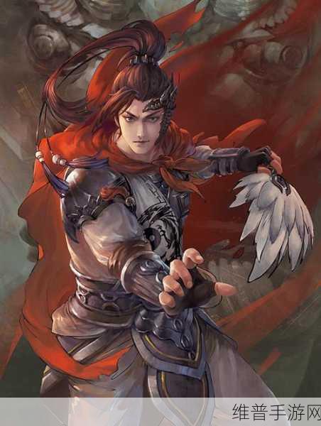 无双大蛇 3 姜维，智勇双全的蜀汉名将