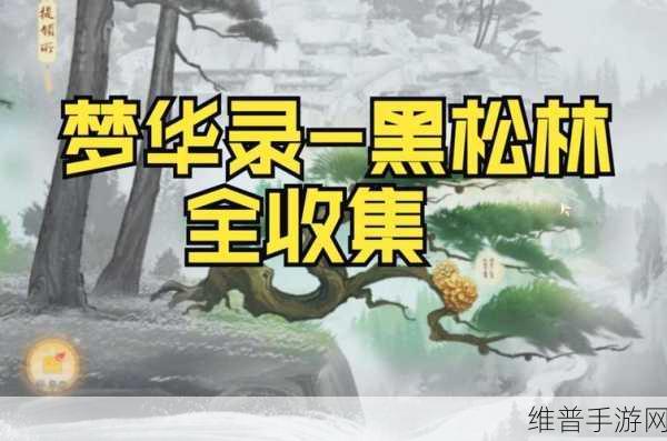 射雕手游梦华录黑松林全收集秘籍