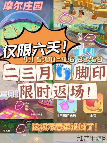 摩尔庄园博物岛,门票调整策略与经营攻略