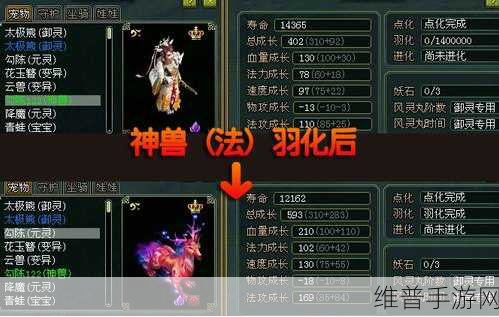 御剑情缘宠物变异秘籍，炼妖之法全解析
