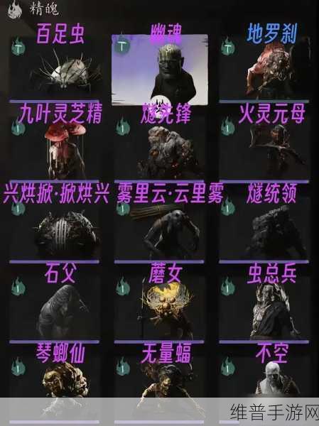 黑神话，悟空手游攻略，揭秘精魄老人参精的高效获取方法