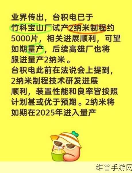 台积电高雄厂扩厂提速，P4、P5环评启动，手游公司如何应对芯片供应变化