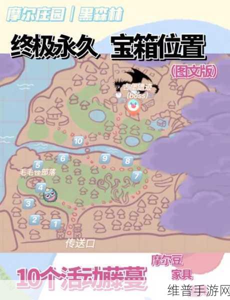 摩尔庄园手游深度攻略，揭秘密码箱密码及其背后的秘密