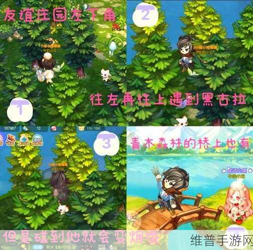 奥比岛星梦奇缘，揭秘偶像隐藏奖励获取攻略