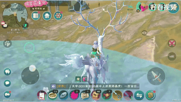 创造与魔法手游攻略，揭秘海豚垂钓圣地与技巧