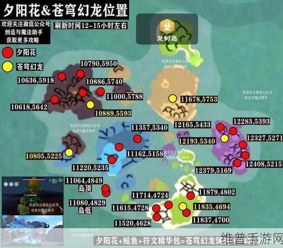 创造与魔法深度探索，揭秘创魔微光雨林的具体位置与丰富资源