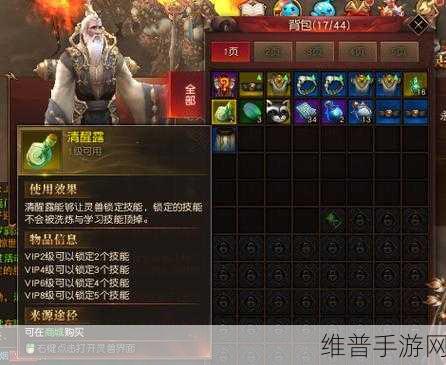 镇魔人副本畅玩指南，技巧与策略全解析