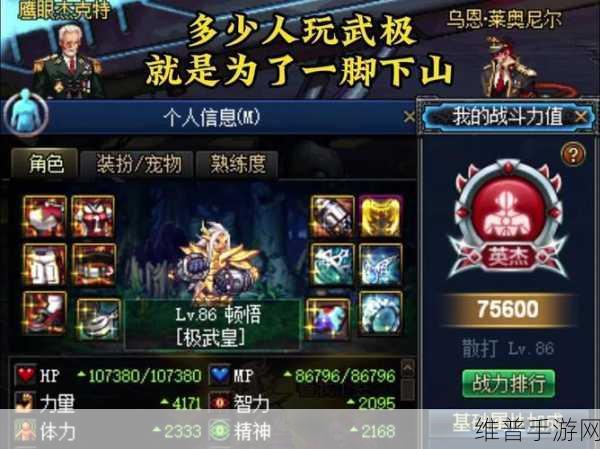 武极天下手游攻略,低级低装玩家的秘境通关秘籍