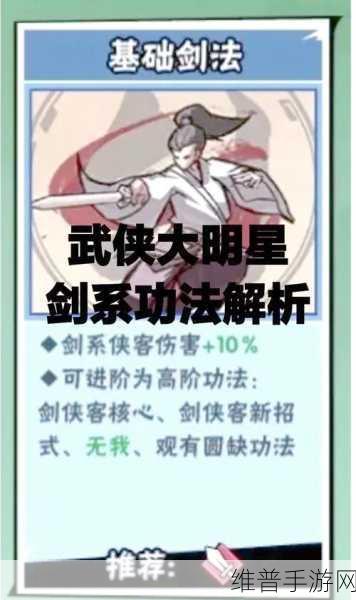 大侠立志传，悟道碑刻功法的明智抉择指南
