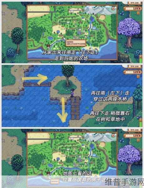 星露谷物语，揭秘温泉的奇妙位置与玩法攻略
