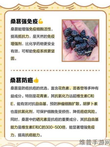 伊洛纳桑葚获取全攻略,解锁南方珍贵资源的秘密