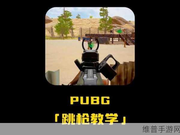 绝地求生刺激战场2024，快速切换视角技巧与最新进展深度教学指南
