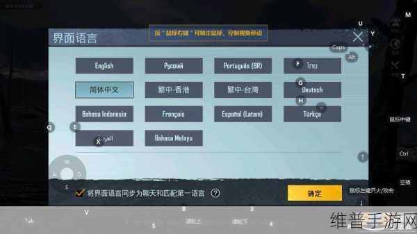 绝地求生刺激战场2024,快速切换视角技巧与最新进展深度教学指南