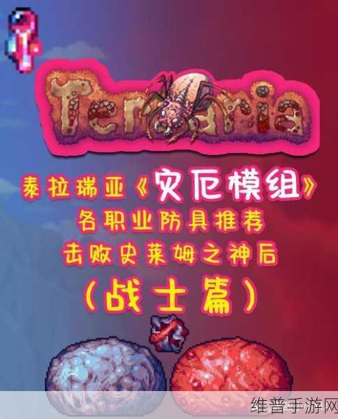 泰拉瑞亚四大职业特点深度解析与攻略指南