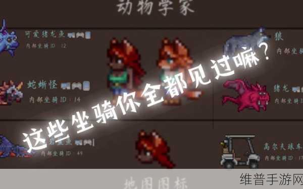 泰拉瑞亚，轻松获取鲨鱼坐骑秘籍