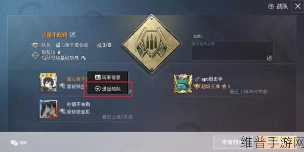 和平精英账号注销全攻略，手游公司视角详解
