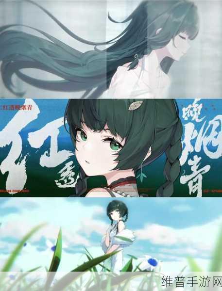 绝区零青衣抽取价值深度剖析