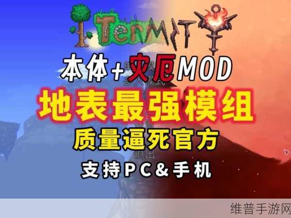 泰拉瑞亚连接丢失的全方位解决秘籍