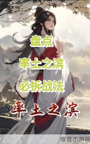 率土之滨华雄战法搭配秘籍，制霸沙场的关键
