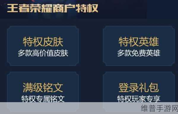 王者荣耀皮肤共享设置全攻略,尊享特权,共享荣耀