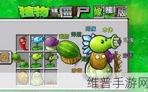 PVZ嫁接版游戏玩法深度解析，植物大战僵尸嫁接版怎么玩