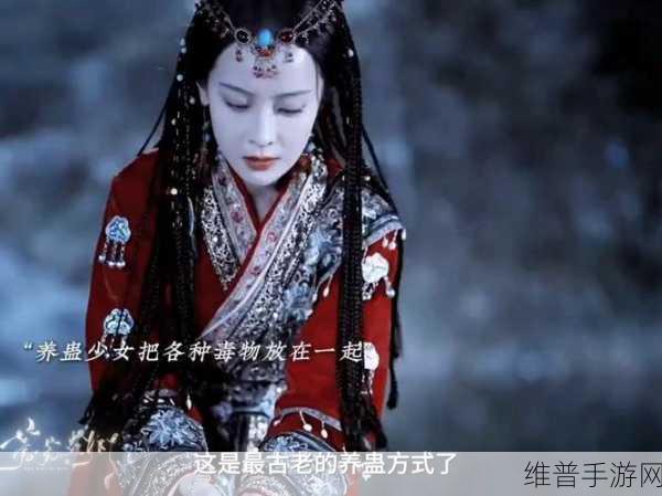 完美世界手游深度攻略，轮转司速通之苗疆蛊女全解析