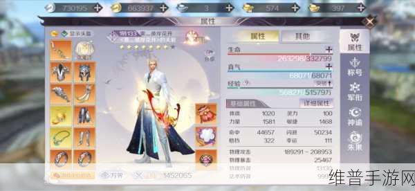 完美世界手游深度攻略，轮转司速通之苗疆蛊女全解析