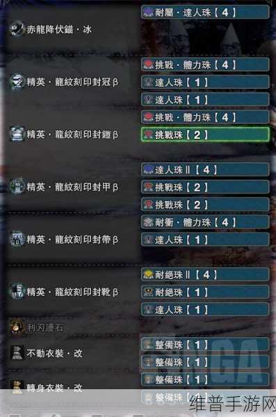 怪物猎人崛起，黑刀达人艺安逸装备搭配指南——达人艺配装攻略详解