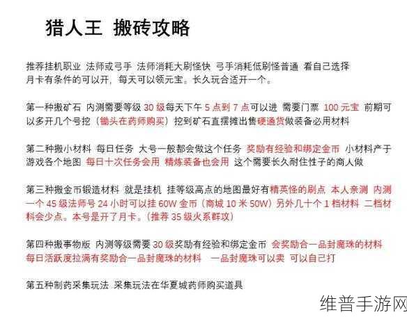 魔力猎人加点与技能攻略全解析