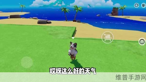 元梦之星葫芦获取全攻略，解锁金色甄藏饰品的秘密