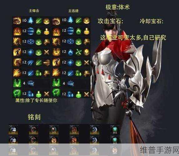 命运方舟墨灵技能加点与搭配深度攻略