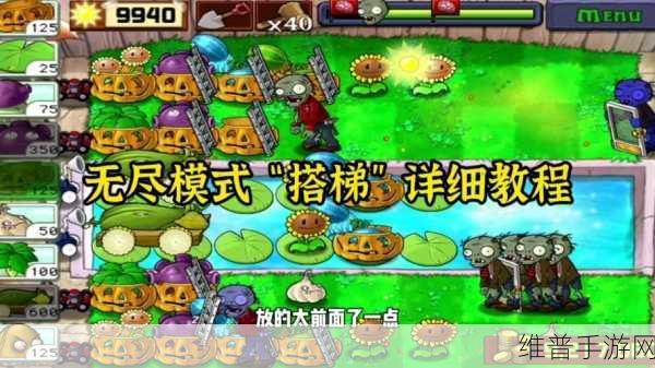 植物大战僵尸无尽模式，高效搭建无尽梯子策略指南