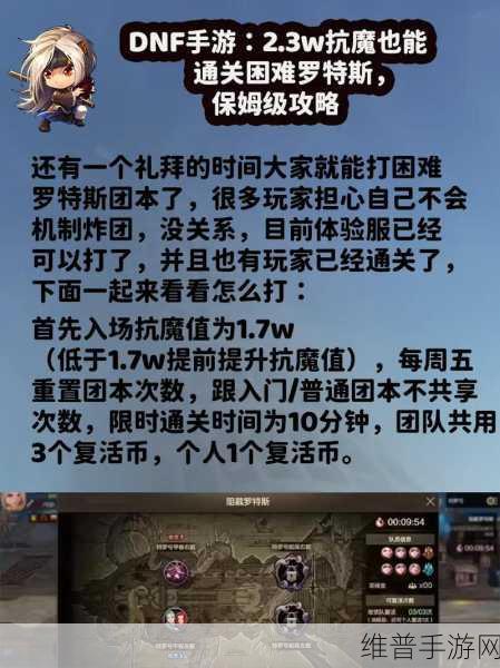 DNF手游团本攻略，全面解析与高效通关技巧