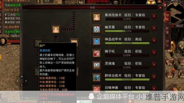 传奇世界手游道士技能全解析，掌握核心，驰骋战场