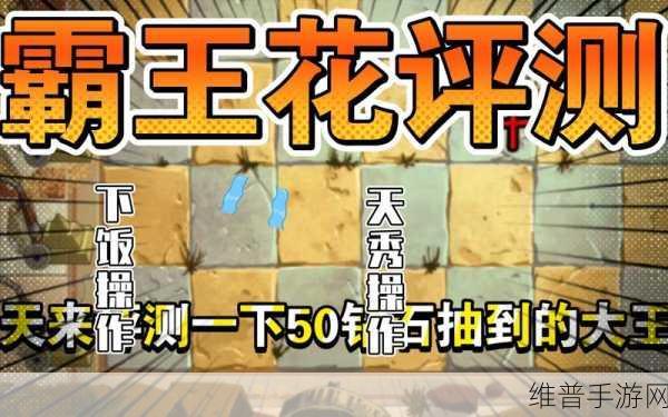 植物大战僵尸2冰河世界大王花特性分析及使用攻略