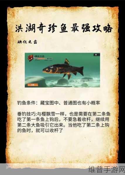 欢乐钓鱼大师，银翼的奇术师钓取秘籍
