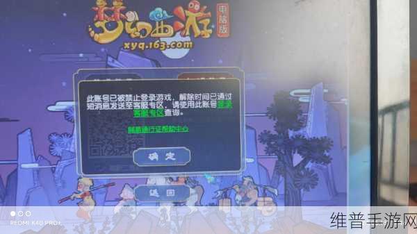 梦幻西游手游多开是否会封号及深度解析