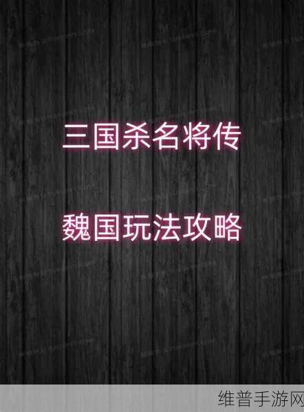 三国杀名将传最新版本，深度解析与致胜攻略