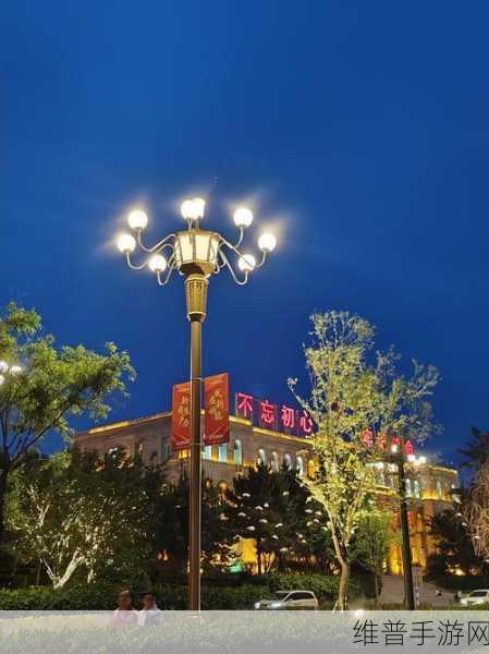 这城有良田国泰华灯攻略，深度解析国泰华灯玩法
