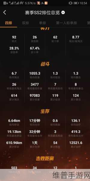 和平精英高手进阶，全面解析如何达成更高KDA