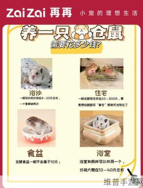 旅行青蛙仓鼠喜爱物品及照片收集全攻略
