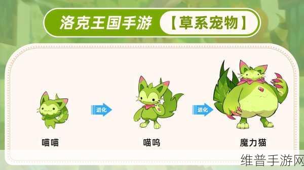 洛克王国上古战龙攻略大全，解锁顶级战斗龙宠的终极秘籍