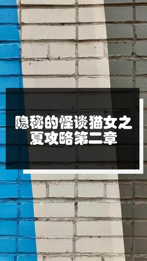 探秘<隐秘的怪谈猫女之夏>,全方位攻略指南
