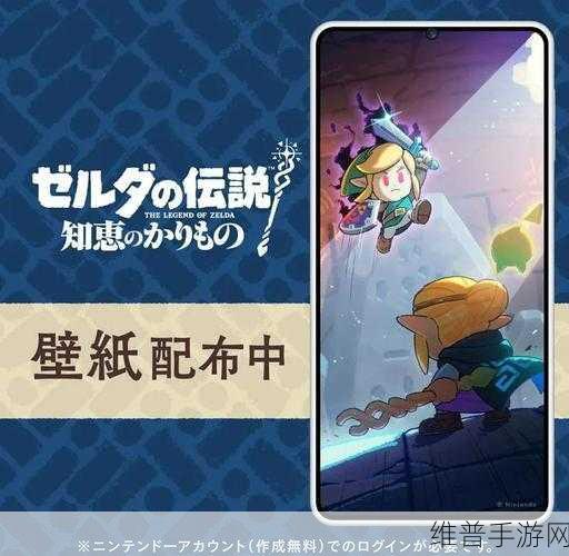 塞尔达传说智慧的再现饰品格子增加全攻略，饰品携带上限提升方法
